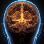 Tips and Advice for Brain Health From Neuroscientists