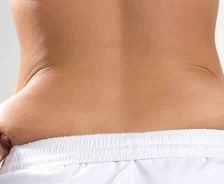 how to remove love handles at home