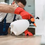 The Benefits of Investing in Pest Control Services