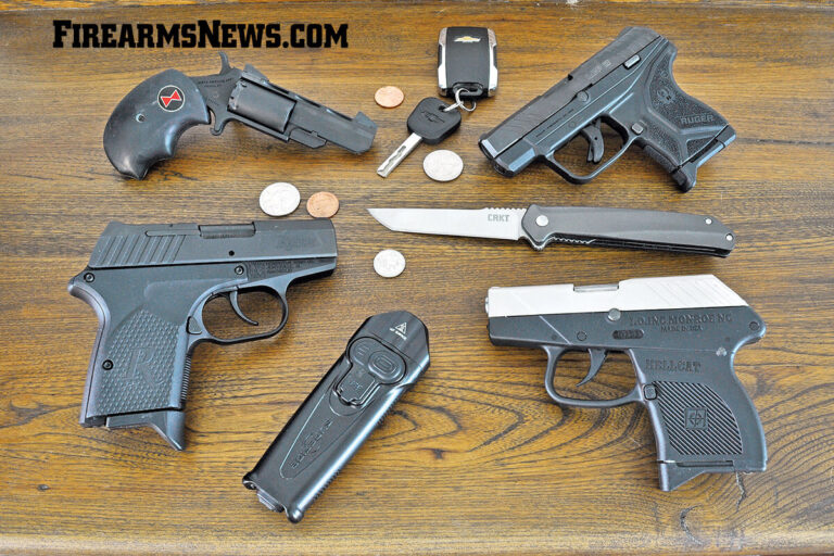 Best Affordable Pocket Pistols for SelfDefense Healthy Living Tips